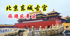 淫荡丝袜包臀裙中国北京-东城古宫旅游风景区